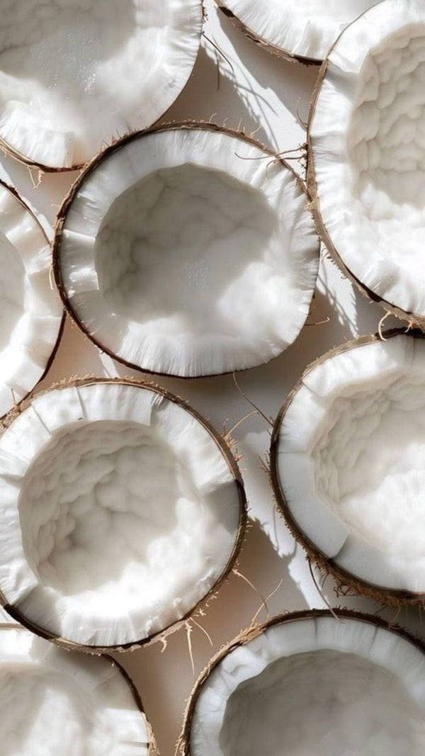 NOIX DE COCO. IRIS.